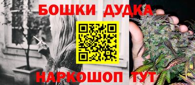 гидропоника Гатчина