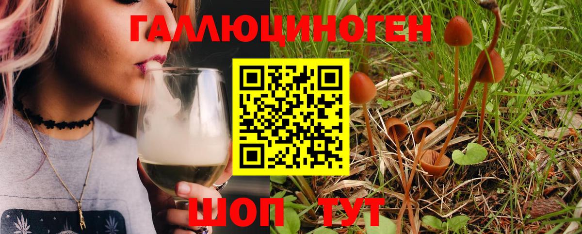 Псилоцибиновые грибы Magic Shrooms  Вход с VPN  Казань 